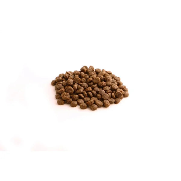 Fish4Dogs Large Granules for Puppies Finest Salmon with Sweet Potatoes 6 kg, 2m+