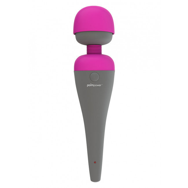 PalmPower Wand Massager