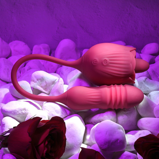 Evolved Wild Rose Red