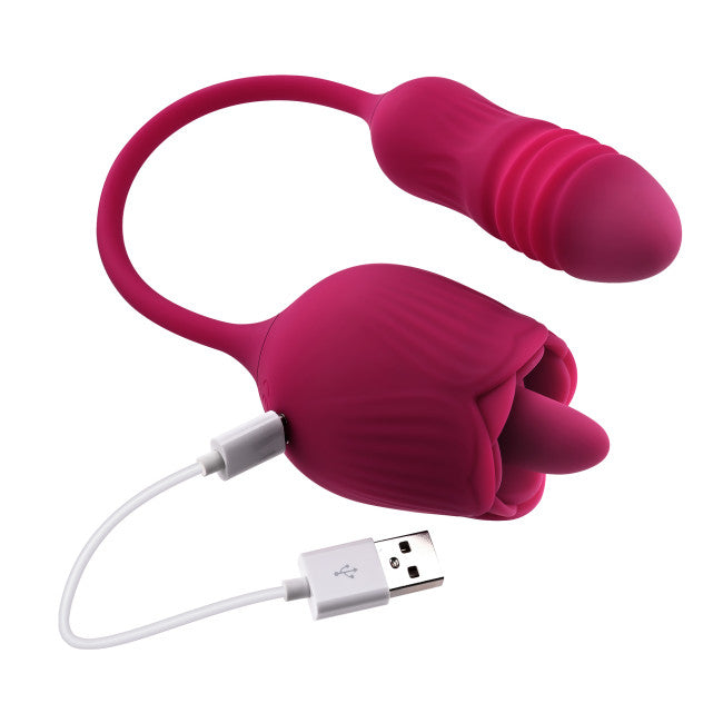 Evolved Wild Rose Red