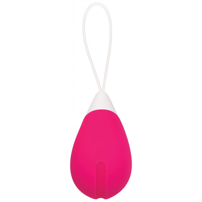 Evolved Remote Control Egg
