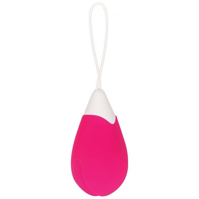 Evolved Remote Control Egg