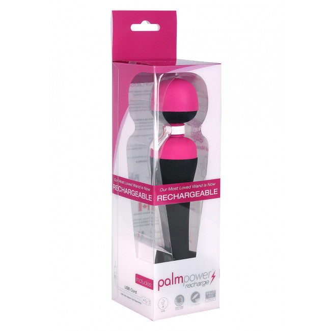 PalmPower Recharge Wand Massager