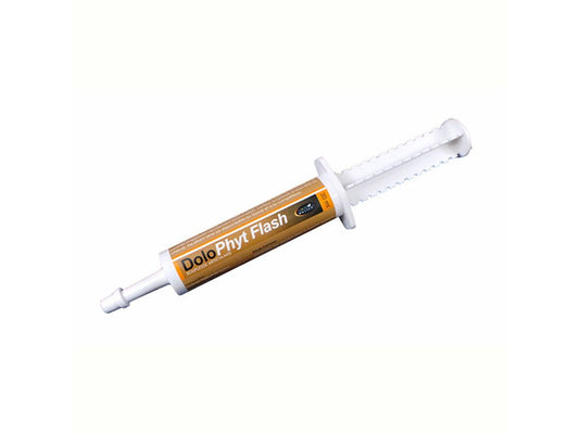 Horse Master DoloPhyt Flash 30ml