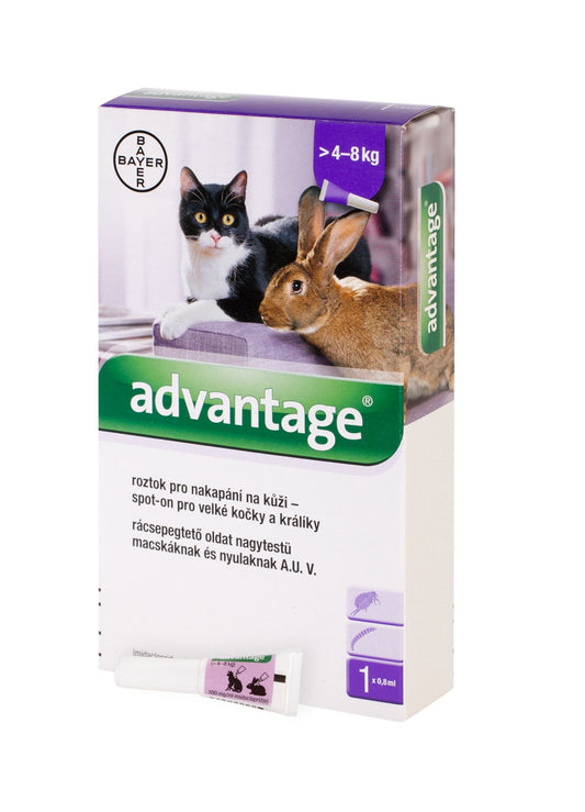 Advantage 80 mg spot-on spot-on solution for large cats and rabbits 1 x 0.8 ml