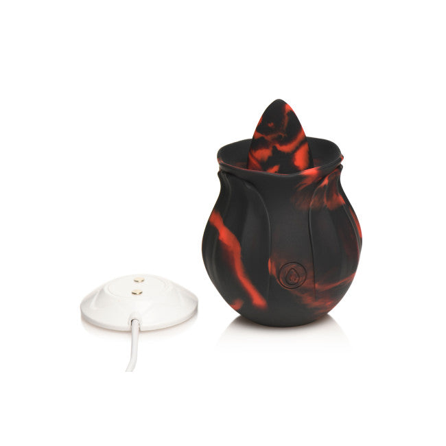 Bloomgasm Black Kiss Rimming Rose