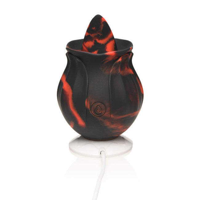 Bloomgasm Black Kiss Rimming Rose