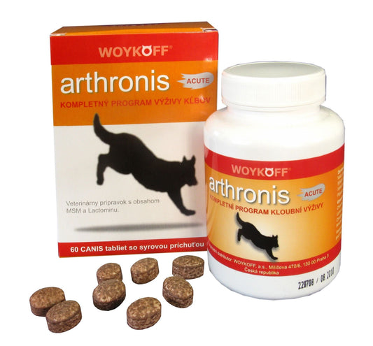 Woykoff Arthronis ACUTE Cheese Flavor 60 Tablets Vitamins for Dogs