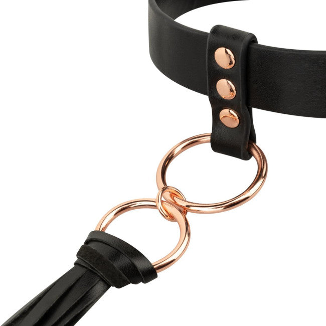 Rosy Gold Collar with Flogger Black